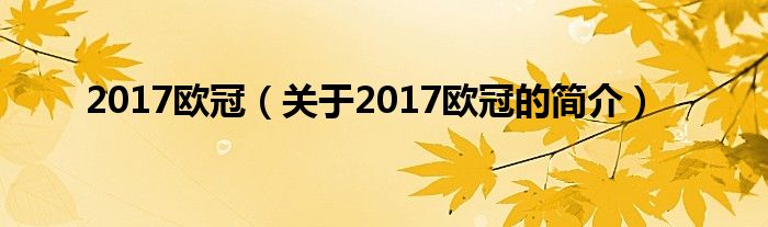 2017歐冠（關于2017歐冠的簡介）