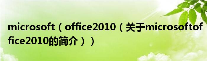 microsoft（office2010（關(guān)于microsoftoffice2010的簡(jiǎn)介））