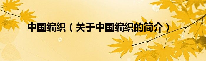 中國(guó)編織（關(guān)于中國(guó)編織的簡(jiǎn)介）