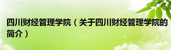 四川財經(jīng)管理學院（關(guān)于四川財經(jīng)管理學院的簡介）