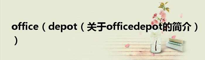 office（depot（關(guān)于officedepot的簡介））