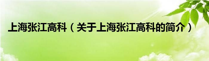 上海張江高科（關(guān)于上海張江高科的簡(jiǎn)介）