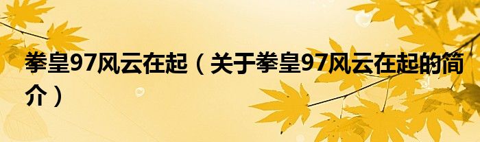 拳皇97風(fēng)云在起（關(guān)于拳皇97風(fēng)云在起的簡介）