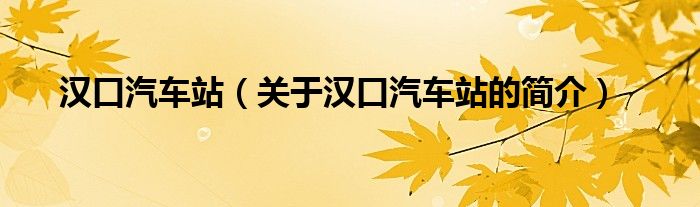 漢口汽車站（關(guān)于漢口汽車站的簡(jiǎn)介）