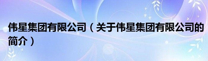 偉星集團(tuán)有限公司（關(guān)于偉星集團(tuán)有限公司的簡介）