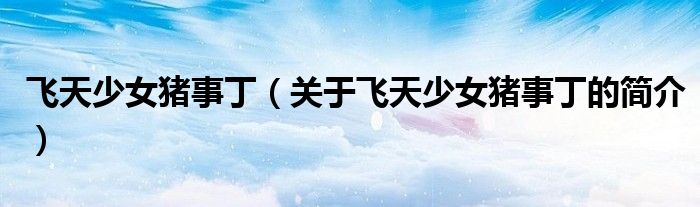 飛天少女豬事?。P(guān)于飛天少女豬事丁的簡介）