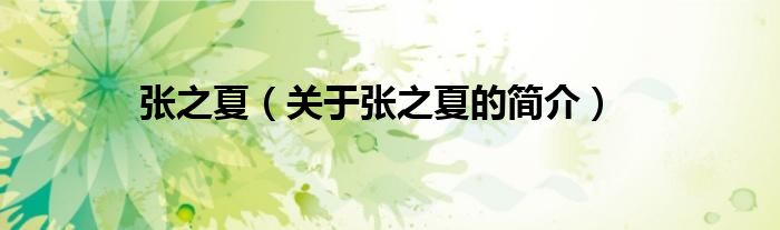 張之夏（關(guān)于張之夏的簡(jiǎn)介）