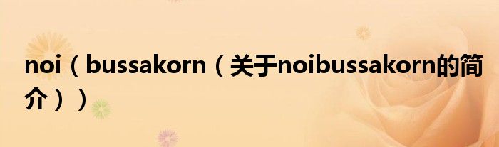 noi（bussakorn（關(guān)于noibussakorn的簡(jiǎn)介））