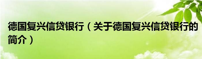 德國復興信貸銀行（關于德國復興信貸銀行的簡介）