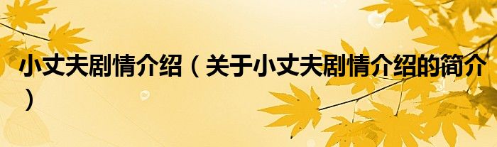 小丈夫劇情介紹（關于小丈夫劇情介紹的簡介）