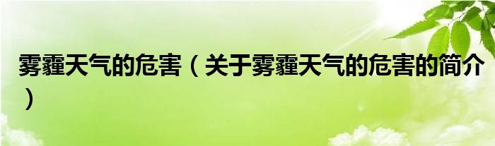 霧霾天氣的危害（關(guān)于霧霾天氣的危害的簡(jiǎn)介）