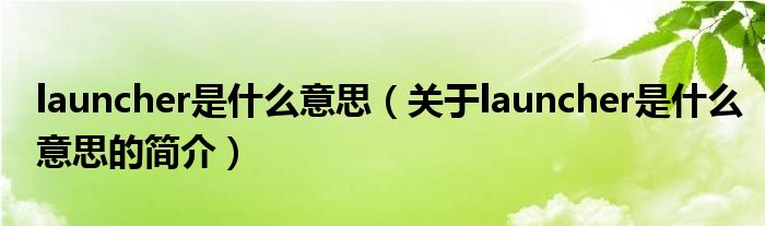 launcher是什么意思（關(guān)于launcher是什么意思的簡(jiǎn)介）