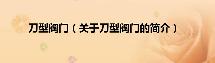 刀型閥門（關(guān)于刀型閥門的簡介）