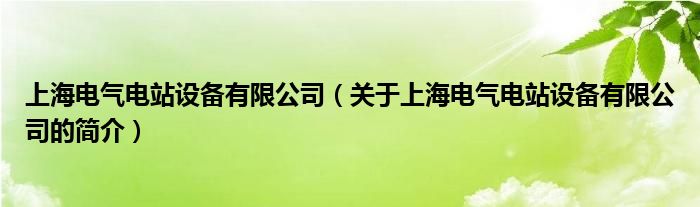 上海電氣電站設(shè)備有限公司（關(guān)于上海電氣電站設(shè)備有限公司的簡介）