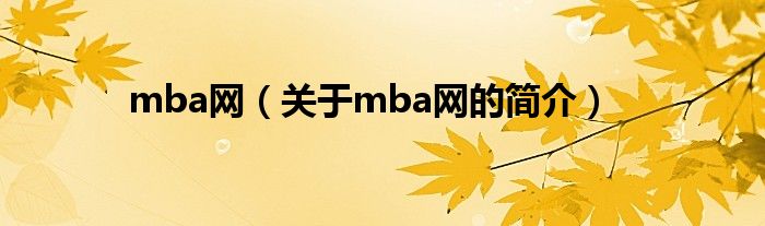 mba網(wǎng)（關(guān)于mba網(wǎng)的簡介）