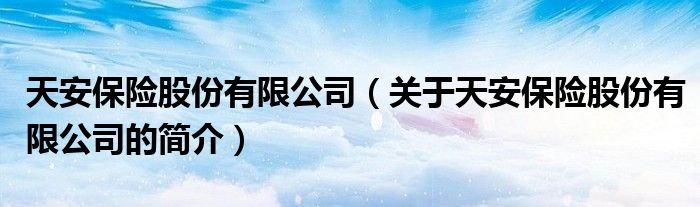 天安保險股份有限公司（關(guān)于天安保險股份有限公司的簡介）