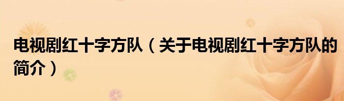 電視劇紅十字方隊（關(guān)于電視劇紅十字方隊的簡介）