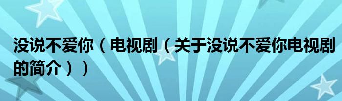 沒(méi)說(shuō)不愛(ài)你（電視?。P(guān)于沒(méi)說(shuō)不愛(ài)你電視劇的簡(jiǎn)介））