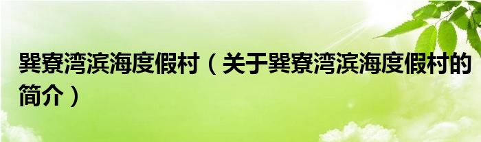 巽寮灣濱海度假村（關于巽寮灣濱海度假村的簡介）