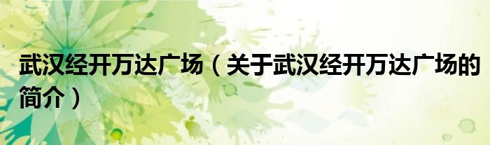 武漢經開萬達廣場（關于武漢經開萬達廣場的簡介）