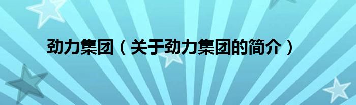 勁力集團（關(guān)于勁力集團的簡介）