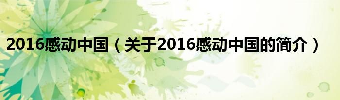 2016感動中國（關(guān)于2016感動中國的簡介）