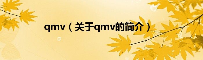 qmv（關(guān)于qmv的簡(jiǎn)介）