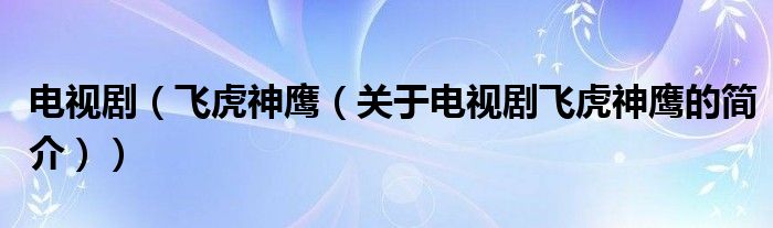 電視?。w虎神鷹（關(guān)于電視劇飛虎神鷹的簡介））