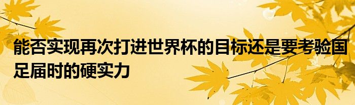 能否實現(xiàn)再次打進世界杯的目標還是要考驗國足屆時的硬實力