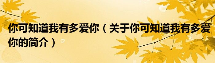 你可知道我有多愛(ài)你（關(guān)于你可知道我有多愛(ài)你的簡(jiǎn)介）