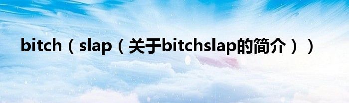 bitch（slap（關(guān)于bitchslap的簡(jiǎn)介））