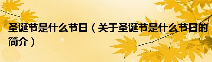 圣誕節(jié)是什么節(jié)日（關(guān)于圣誕節(jié)是什么節(jié)日的簡介）