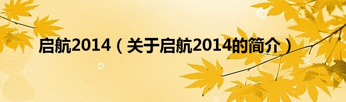 啟航2014（關(guān)于啟航2014的簡介）