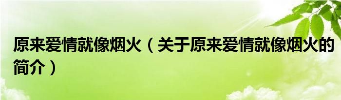 原來愛情就像煙火（關于原來愛情就像煙火的簡介）