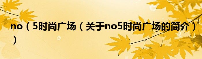 no（5時(shí)尚廣場(chǎng)（關(guān)于no5時(shí)尚廣場(chǎng)的簡(jiǎn)介））