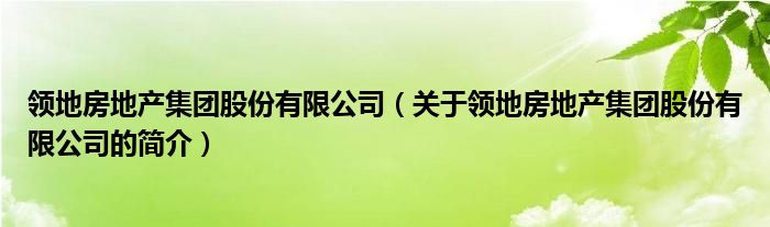 領(lǐng)地房地產(chǎn)集團股份有限公司（關(guān)于領(lǐng)地房地產(chǎn)集團股份有限公司的簡介）