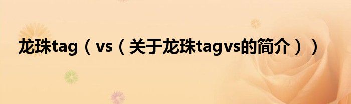 龍珠tag（vs（關(guān)于龍珠tagvs的簡介））