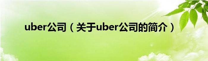 uber公司（關(guān)于uber公司的簡(jiǎn)介）