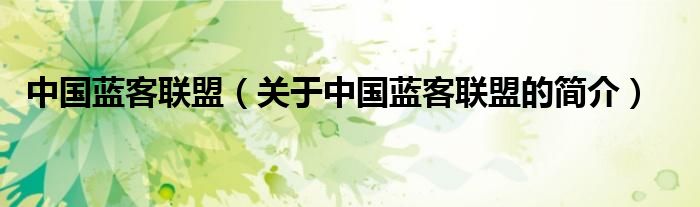 中國藍客聯(lián)盟（關于中國藍客聯(lián)盟的簡介）