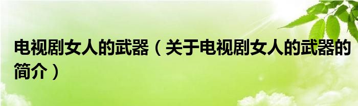 電視劇女人的武器（關(guān)于電視劇女人的武器的簡介）