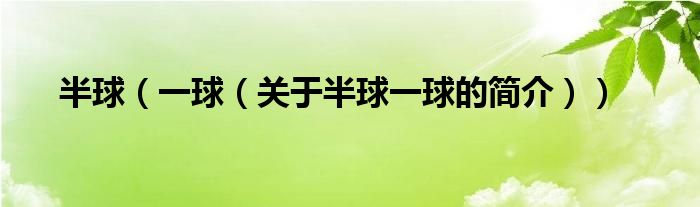 半球（一球（關(guān)于半球一球的簡(jiǎn)介））