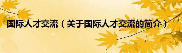 國際人才交流（關(guān)于國際人才交流的簡介）