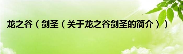 龍之谷（劍圣（關(guān)于龍之谷劍圣的簡(jiǎn)介））