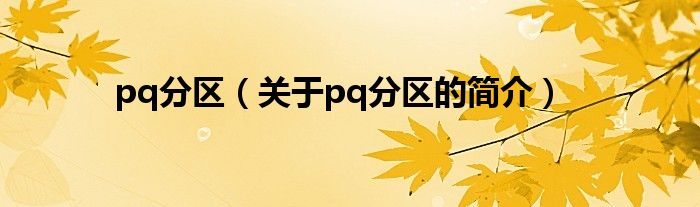 pq分區(qū)（關于pq分區(qū)的簡介）