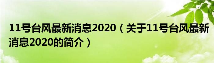 11號臺風(fēng)最新消息2020（關(guān)于11號臺風(fēng)最新消息2020的簡介）