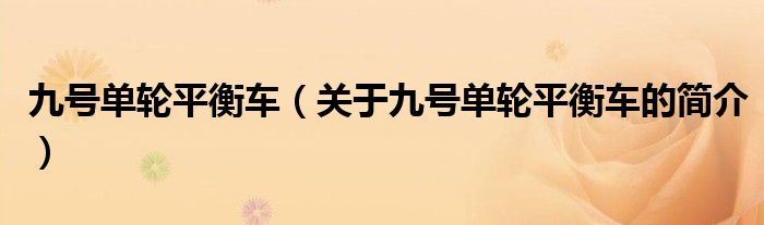 九號單輪平衡車（關(guān)于九號單輪平衡車的簡介）