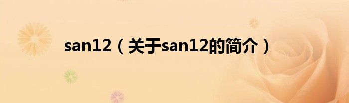 san12（關于san12的簡介）