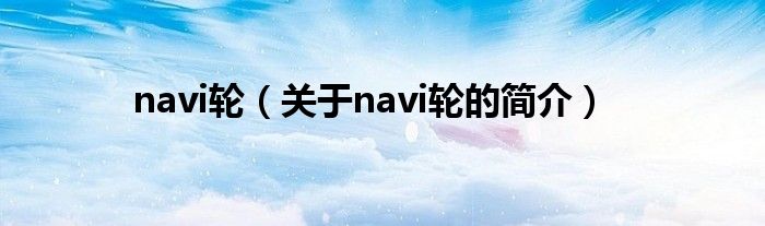 navi輪（關(guān)于navi輪的簡(jiǎn)介）