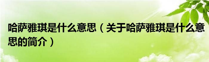 哈薩雅琪是什么意思（關(guān)于哈薩雅琪是什么意思的簡介）