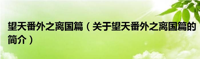 望天番外之離國(guó)篇（關(guān)于望天番外之離國(guó)篇的簡(jiǎn)介）